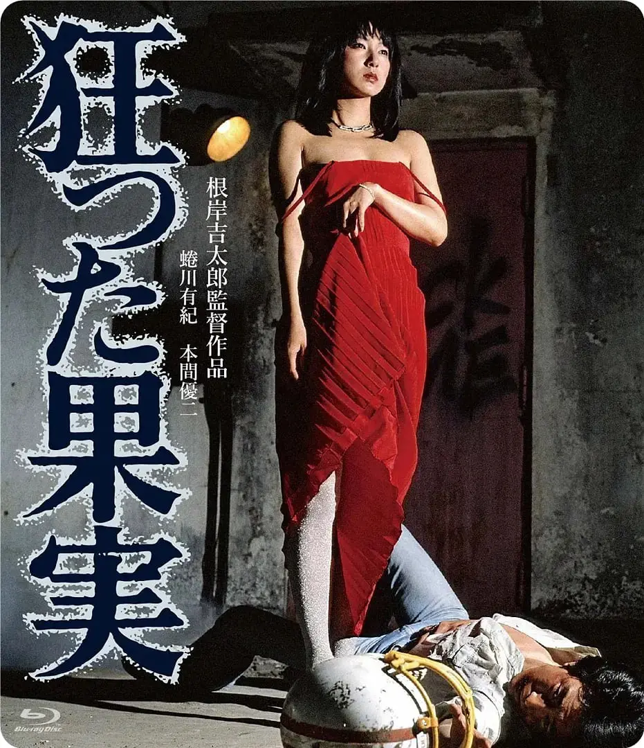 《疯狂的果实 1981》：一场天马行空的奇幻冒险，重温经典国产动画的独特魅力