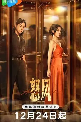 《怒风》：口碑爆棚的谍战悬疑巨制，层层反转，烧脑至极，看特工如何在暗流涌动中寻觅真相
